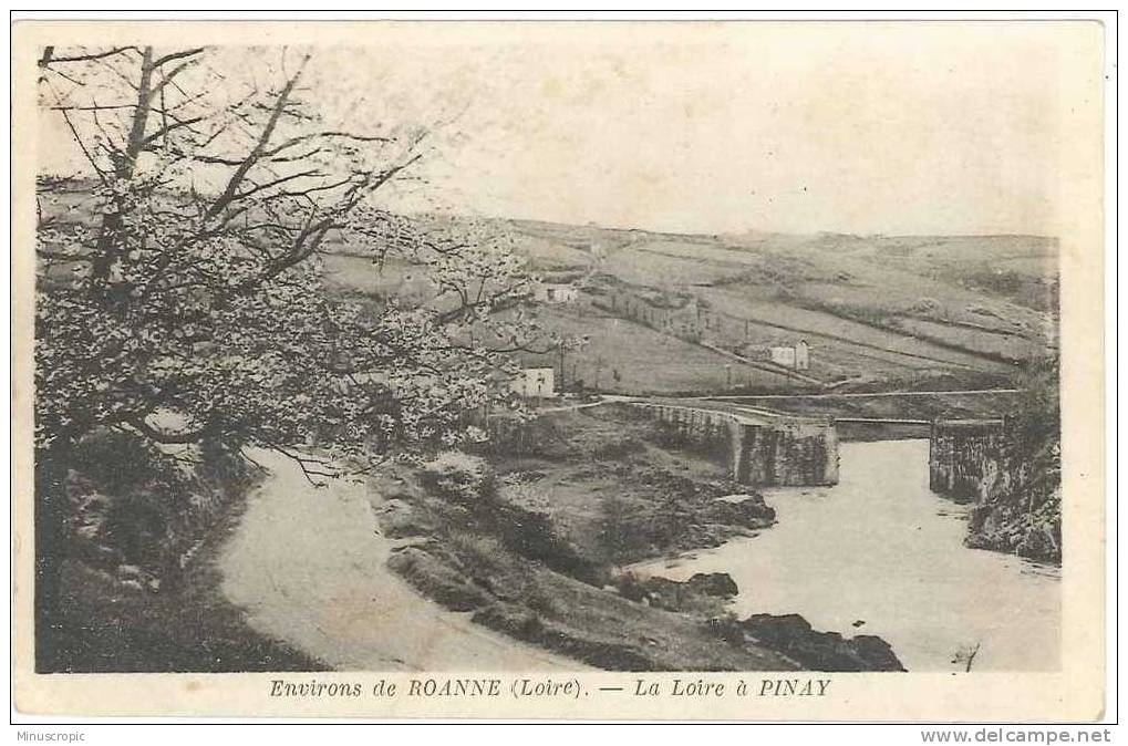 CPA 42 - Roanne - La Loire à Pinay - Roanne