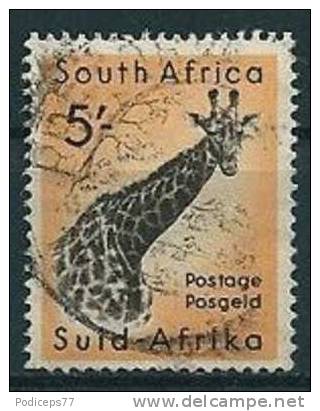 Südafrika 1954  Giraffe  5 Sh (Wz.Springbock)   Mi-Nr.251  Gestempelt / Used - Other & Unclassified