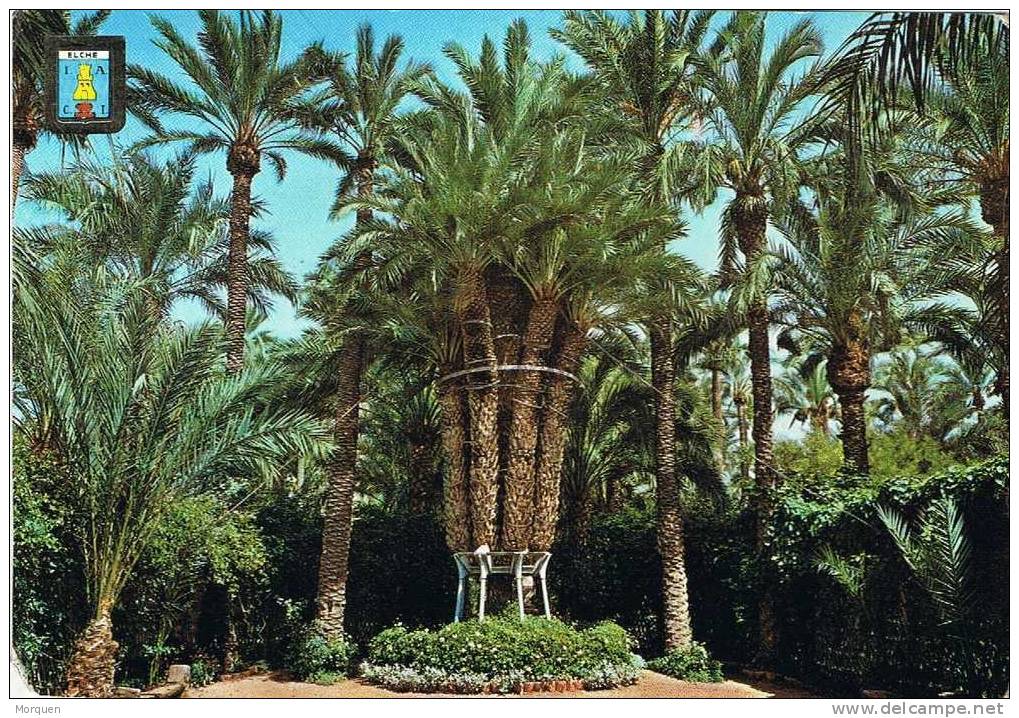Postal ELCHE (Alicante) 1965. Palmera Imperial - Covers & Documents