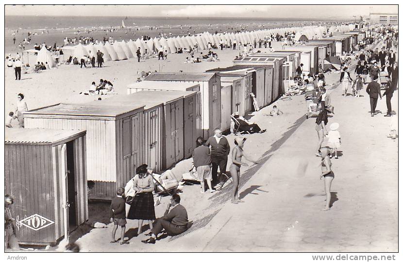 (XIII) N°660 - Dunkerque - Les Kiosques - La Plage - Dunkerque