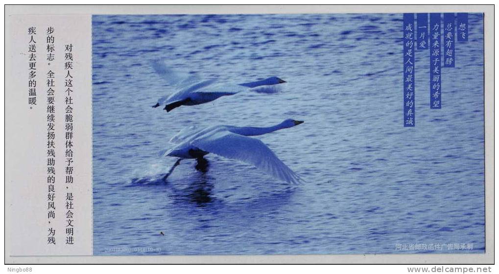 Swan Bird,China 2001 Hebei Helping Disabled Person Public Advertisement Advertising Pre-stamped Card - Cygnes