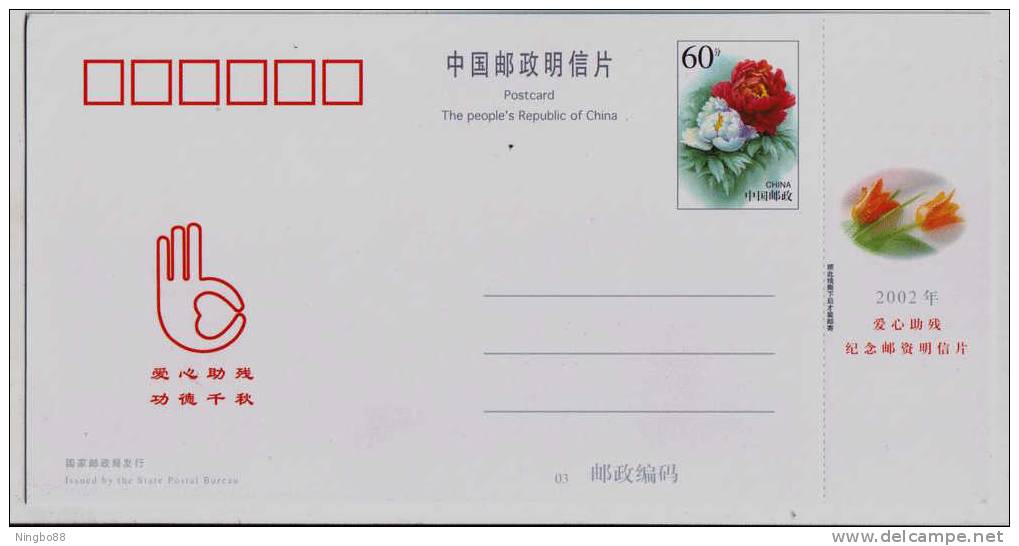 Swan Bird,China 2001 Hebei Helping Disabled Person Public Advertisement Advertising Pre-stamped Card - Swans