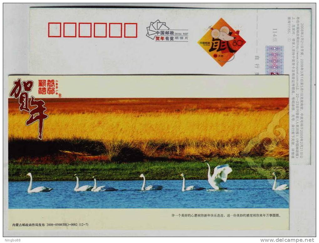 Neimenggu Desert Wetland,rest Station For Swan Bird Migration,China 2008 Neimenggu New Year Greeting Pre-stamped Card - Cygnes