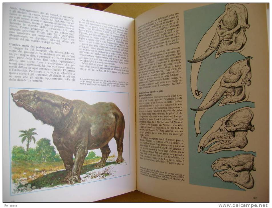 PR/10 Ruggieri LA SCOPERTA DEI FOSSILI Mondadori I Ed.1975 / Paleontologia / Dinosauri - History, Philosophy & Geography