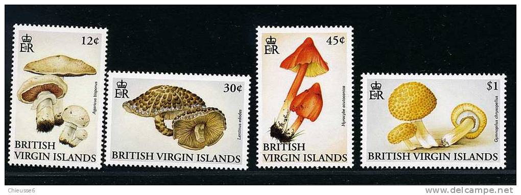 Iles Vierges ** N° 704 à 707 - Champignons (3 P52) - Britse Maagdeneilanden