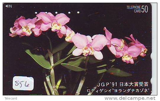 Télécarte Japon FLEUR ORCHID (856) * Orchidée Orquídea Orchidee Orquidée Orchid * Phonecard JAPAN * Flower  * BLOEM - Fleurs