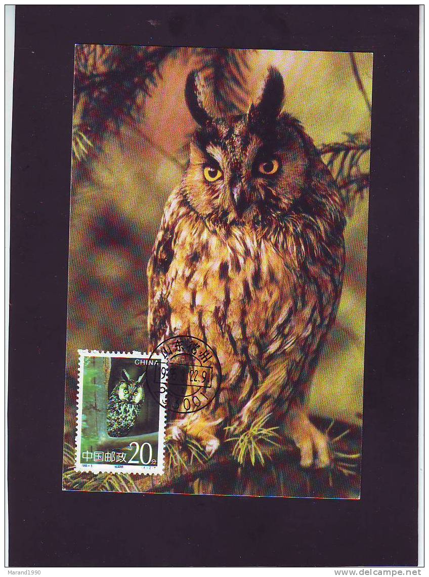 ASIO OTUS, MAXIMUM CARD - Owls