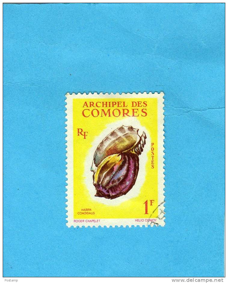 Archipel Des Comores+N°24 -coquillage-oblitéré Cote 1,6eu - Other & Unclassified