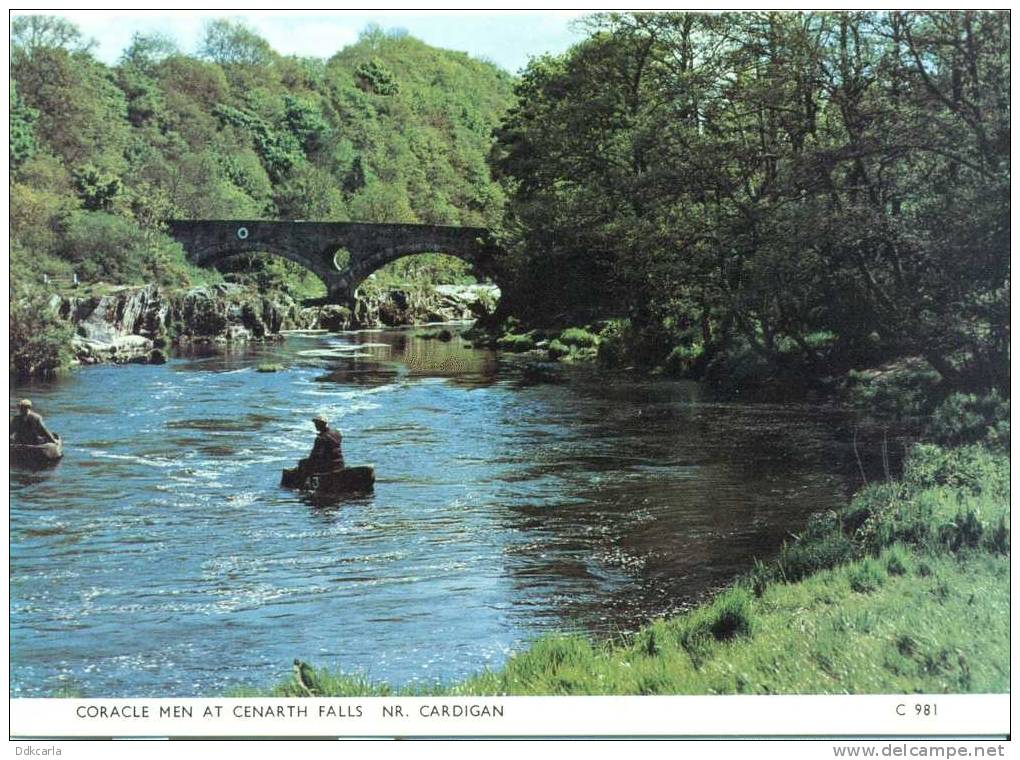 Coracle Men At Cenarth Falls Nr. Cardigan - Cardiganshire