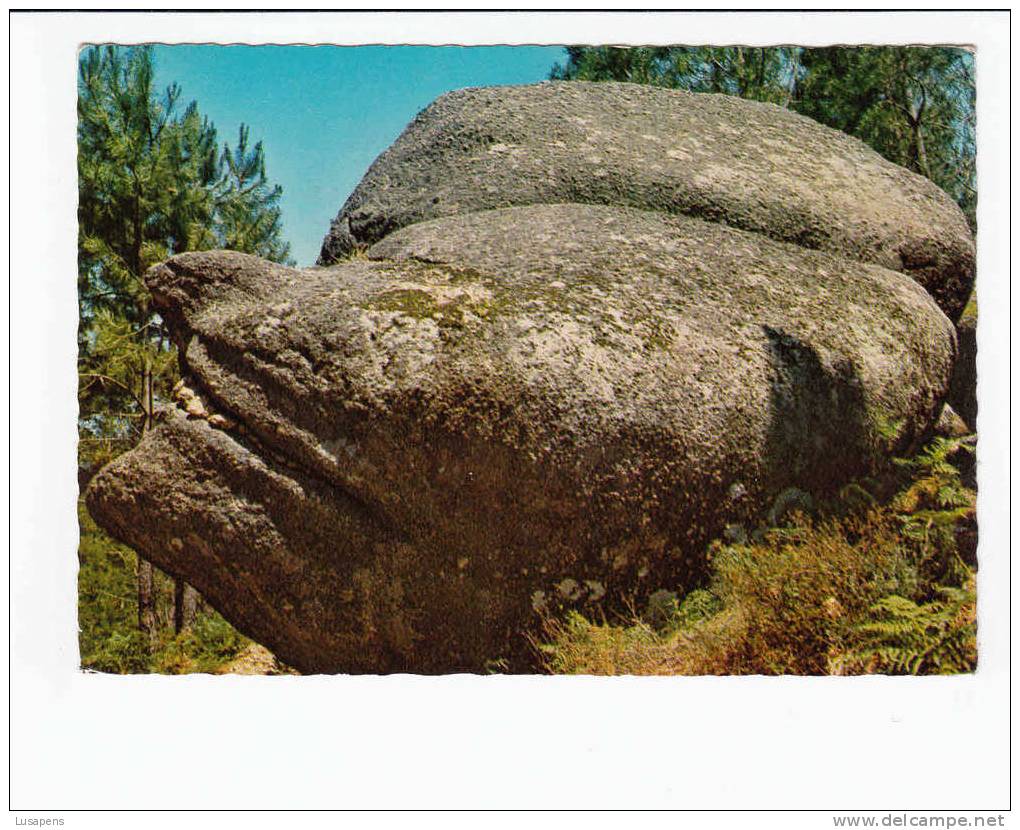 Portugal Cor 11608 – SERRA DA ESTRELA - CABEÇA DAO VELHA - - Guarda