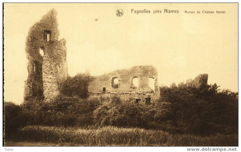 Fagnolles- Ruines Du Château Féodal - Philippeville