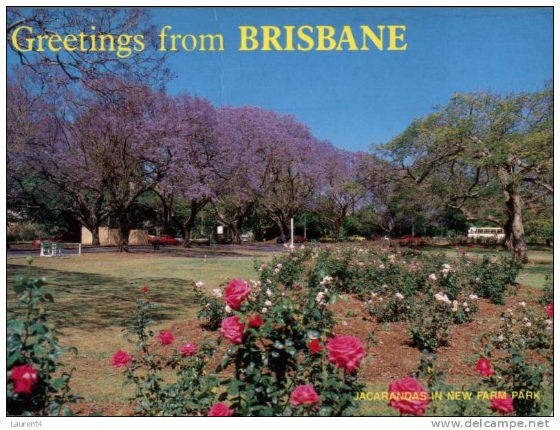 (120) - Brisbane New Farm Park - Brisbane