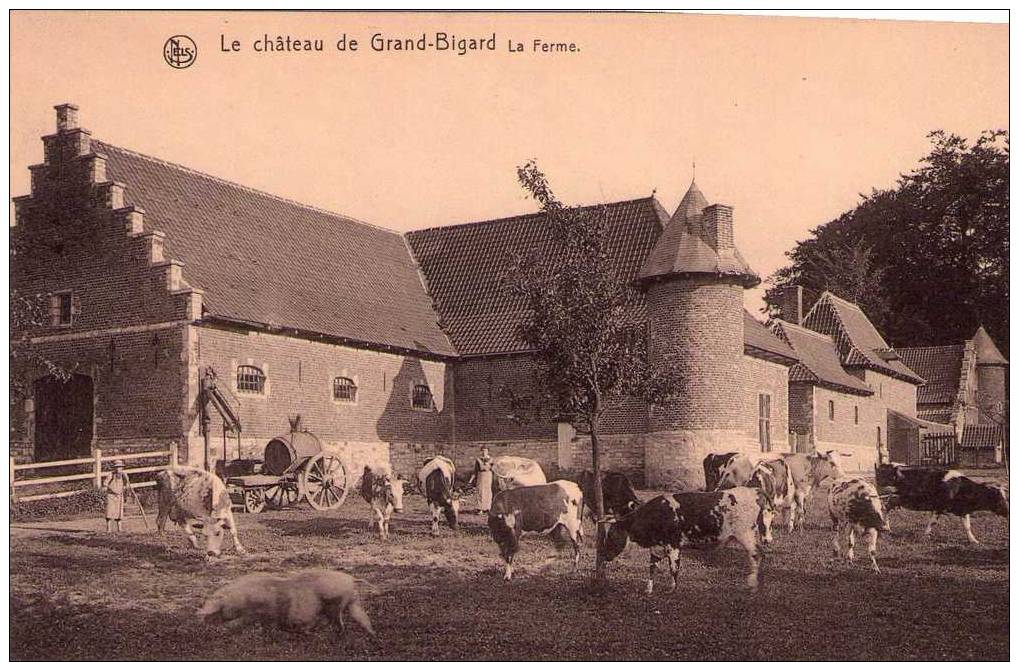 Le Chateau De Grand-bigard ; La Ferme - Andere & Zonder Classificatie