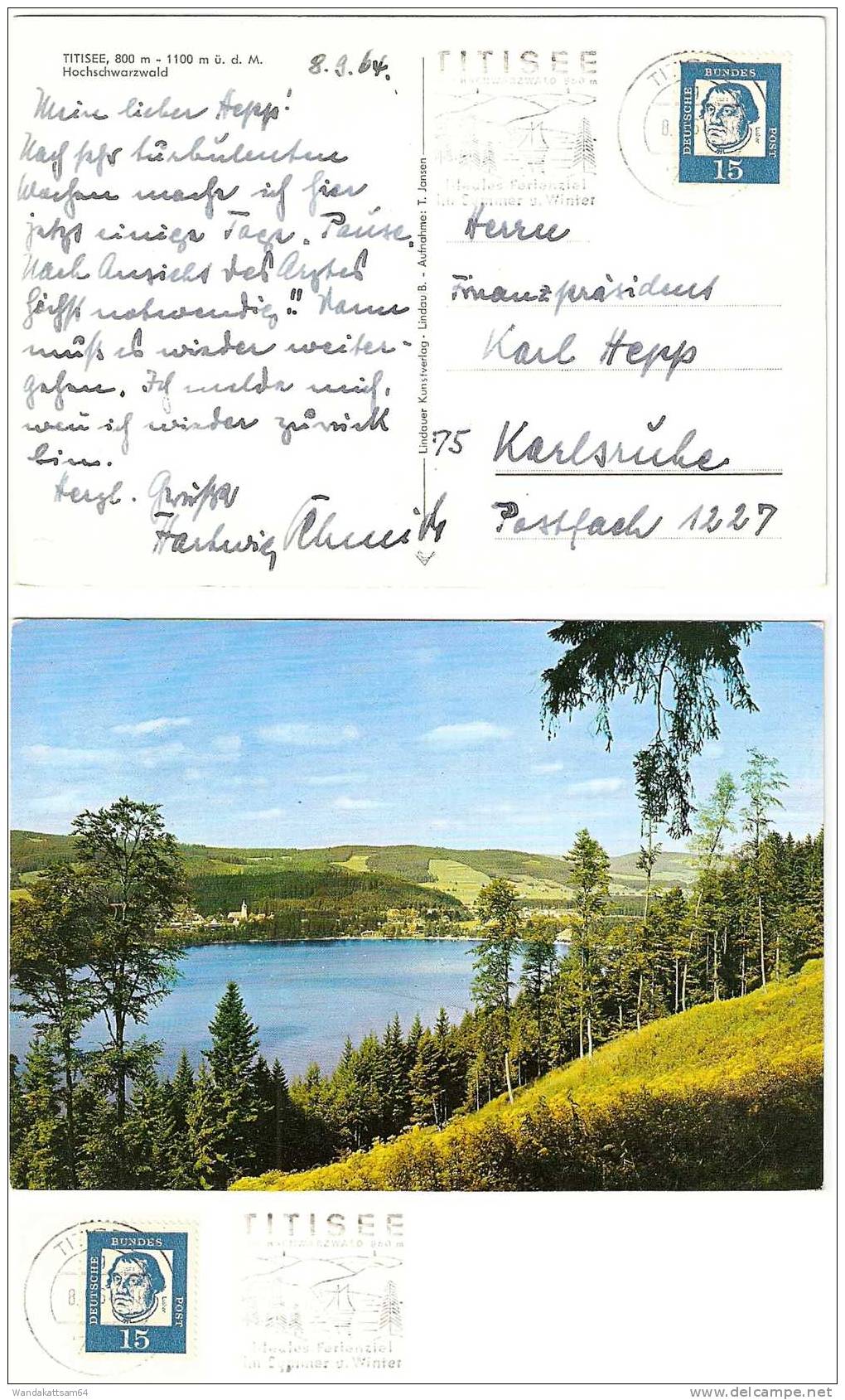 AK TITISEE, 800 M  - 1100 M ü. D. M. Hochschwarzwald 8. 9. 64. - 18 782 TITISEE G Nach Karlsruhe Mit 1 X 15 PF DEUTSCHE - Titisee-Neustadt