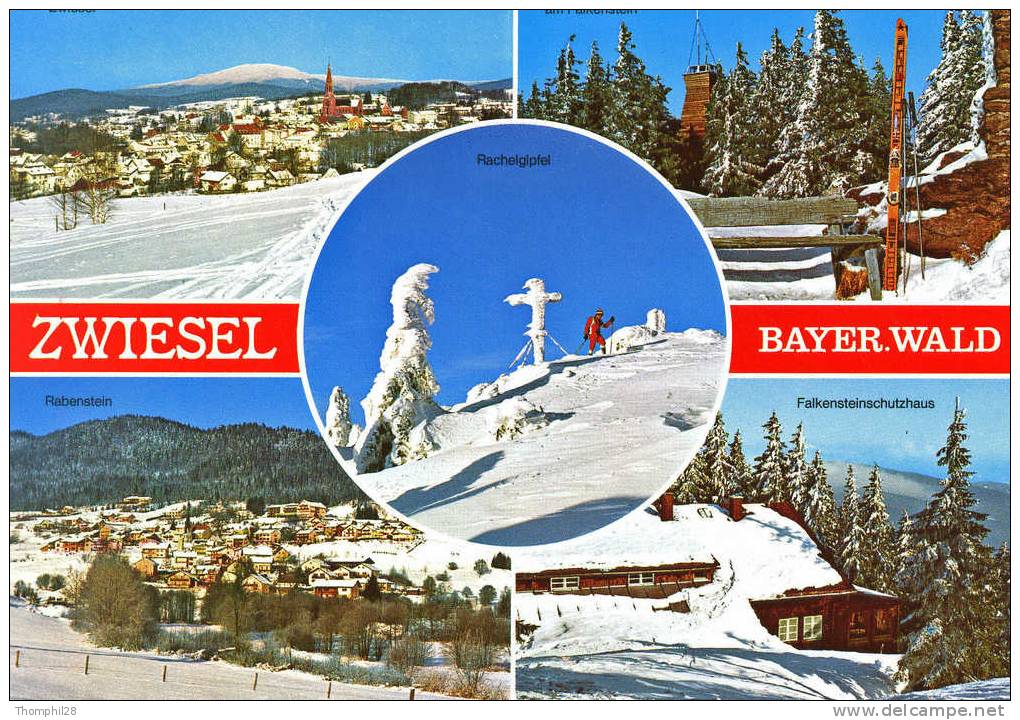 ZWIESEL - Wintersportplatz Zwiesel / Bayer. Wald - TBE, Carte Multivues Neuve - Zwiesel