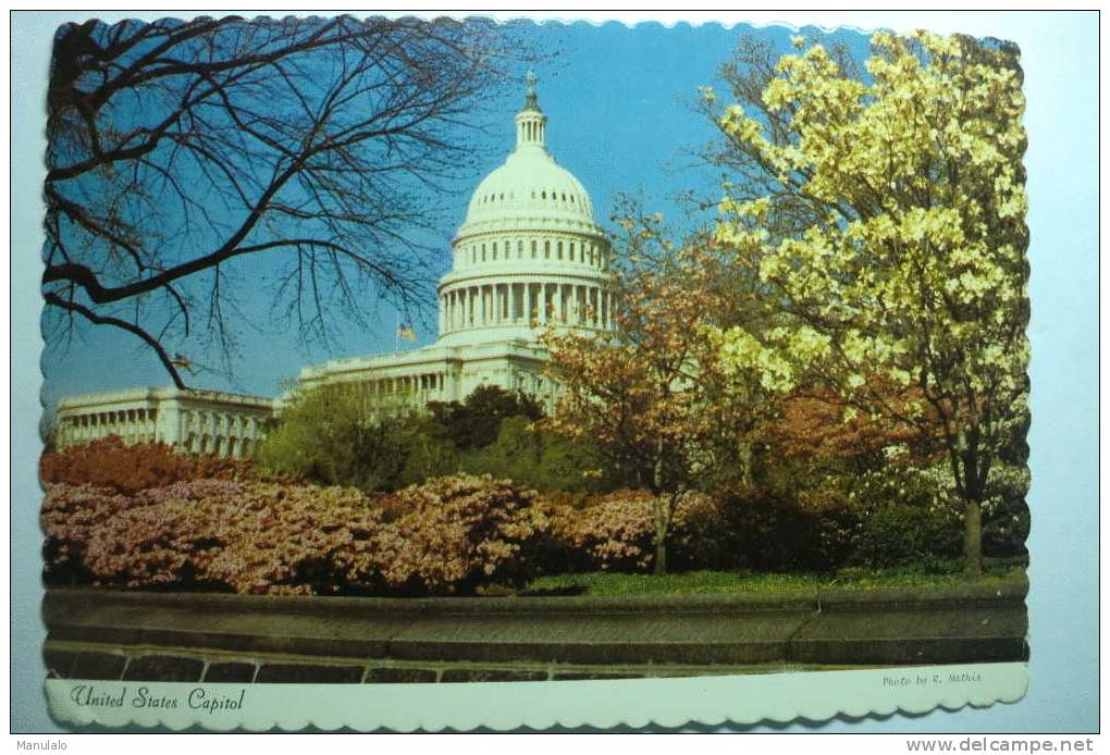 Washington - United States Capitol - Washington DC