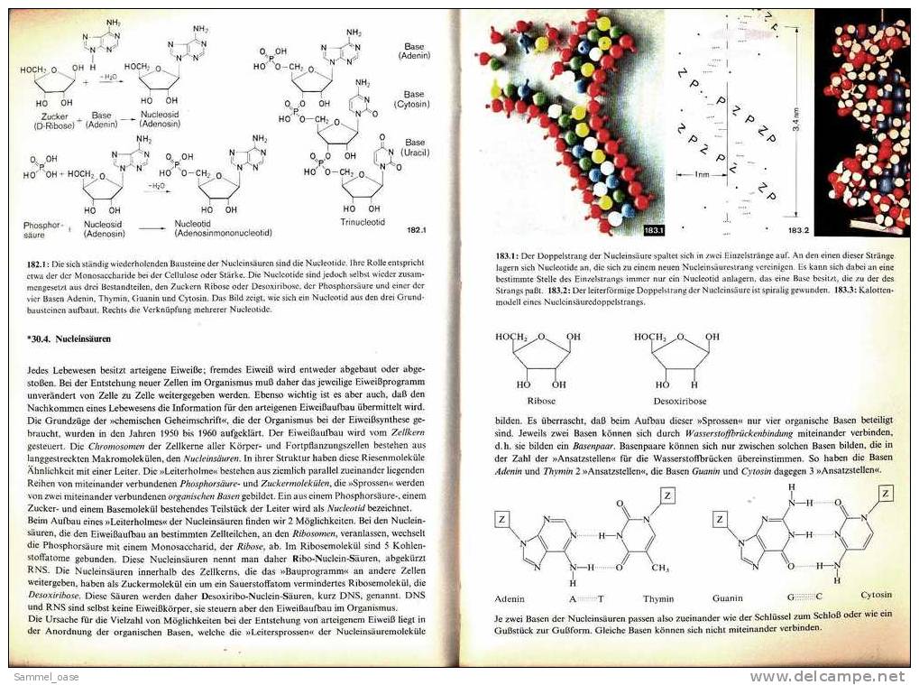 Schülerbuch Chemie B  -  Anorganische / Organische Chemie  -  Klett Verlag 1971 - Schulbücher