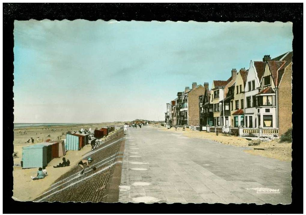 Bray - Dunes  :  La Plage Et La Digue - Autres & Non Classés