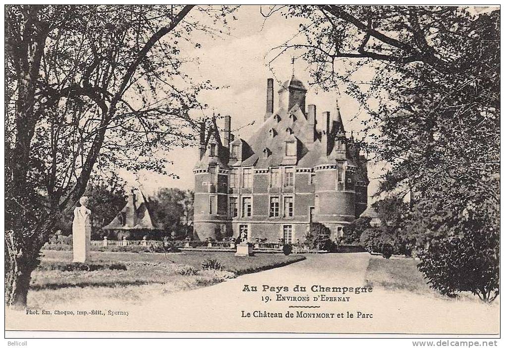 19  -  Le Château De Montmort Et Le Parc - Montmort Lucy