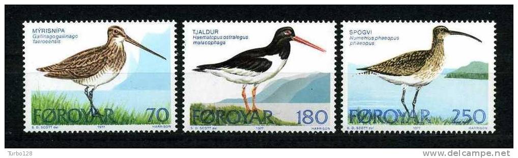 FEROE 1977  Poste Y.T. N° 22 à 24** Neufs MNH Ier Choix. SUPERBE. (Oiseaux, Birds) - Féroé (Iles)