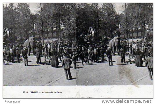 Brest: Avenue De La Gare Avec Un Eléphant. - Cartoline Stereoscopiche