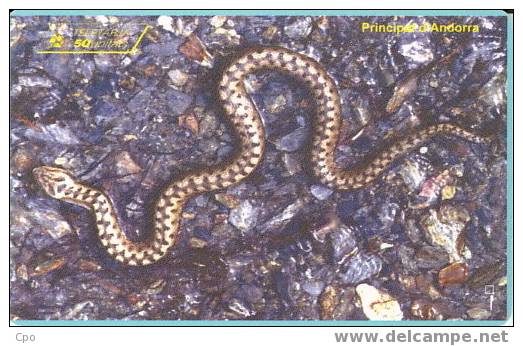 # ANDORRA 35 Vipere 50 Gem 08.95 10000ex -serpent,snake- Tres Bon Etat - Andorre