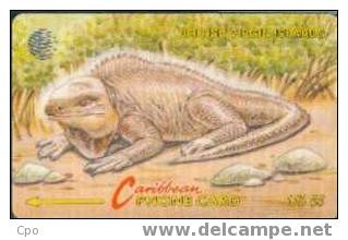 # BRITISH_VIRGIN 5 Iguana - BVI Wild Life - Issue 1 $5 Gpt   Tres Bon Etat - Isole Vergini