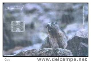 # ANDORRA 48 Marmotte 50 Sc7 03.96 10000ex -animal- Tres Bon Etat - Andorra