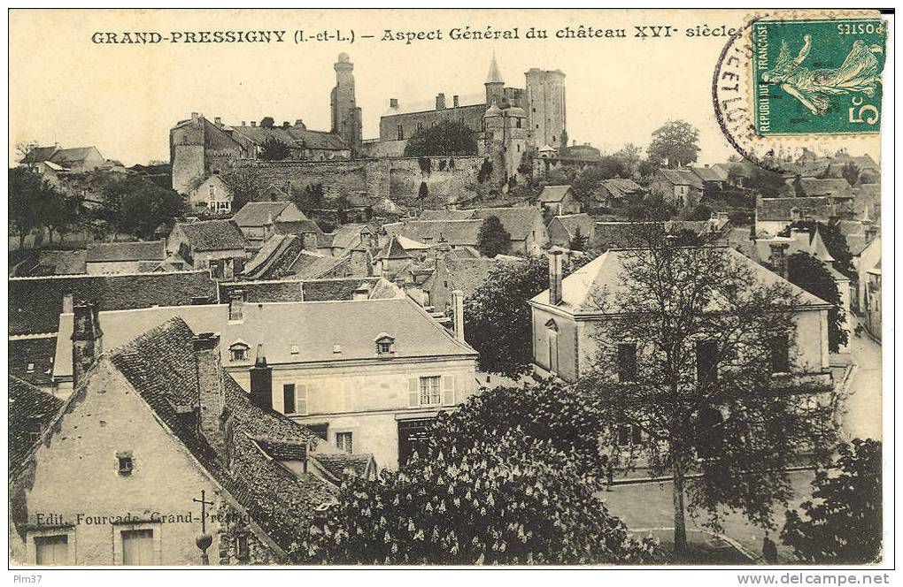 LE GRAND PRESSIGNY - Aspect Général Du Chateau - Le Grand-Pressigny