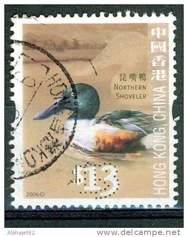 Faune, Oiseaux - HONG KONG - Canard Souchet - Série Courante - N° 1314 - 2006 - Gebraucht