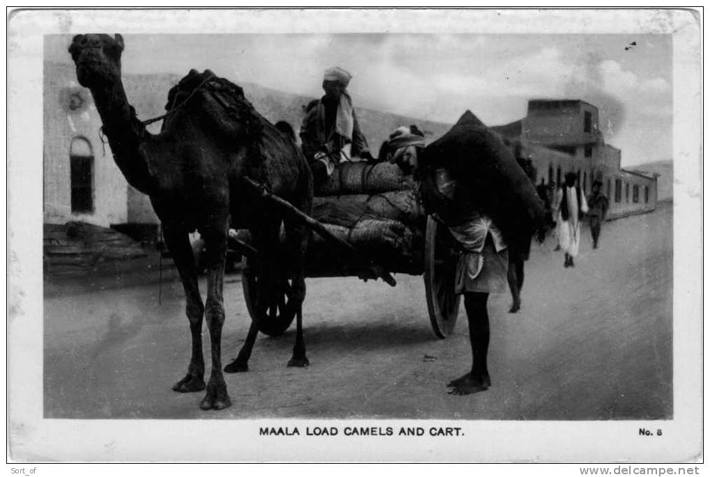 RP - ADEN - MAALA LOADS CAMELS AND CARTS (nice Street Scene) - A821 - Yemen