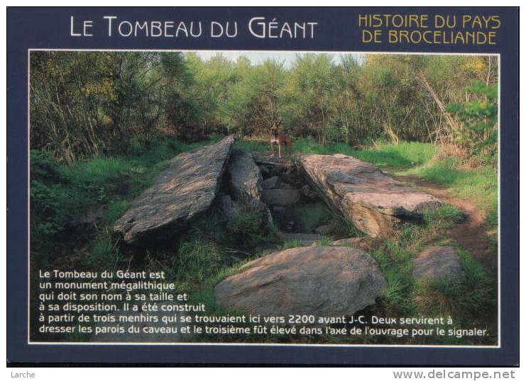 Dép. 56 - LE TOMBEAU DES GEANTS. Ed. D´Art JACK. - Dolmen & Menhirs