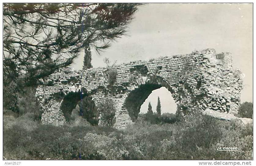 83 - FREJUS - L'aqueduc Romain (Ed. La Cigogne, 83.060.23) - Frejus