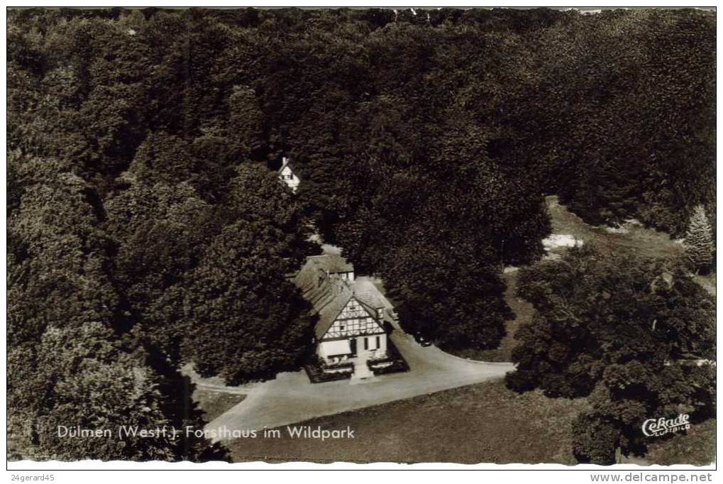 CPSM DULMEN (Allemagne-Rhénanie Du Nord Westphalie) - Forsthaus Im Wildpark - Dülmen