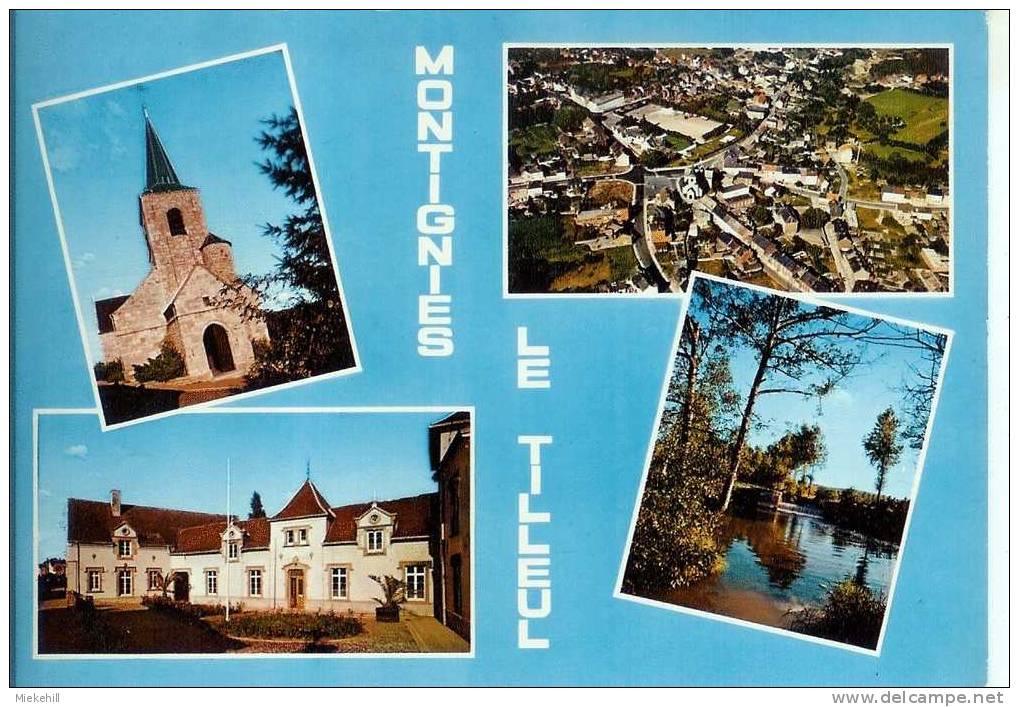MONTIGNIES LE TILLEUL-MULTIVUES - Montigny-le-Tilleul