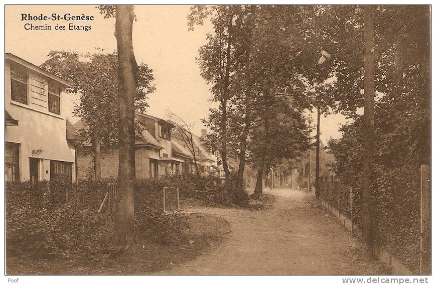 St-Genesius-Rode : Chemin Des Etangs - St-Genesius-Rode