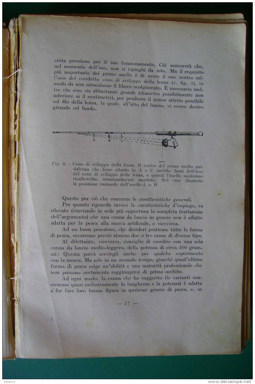 PDO/17 Aldo Peronaci LO SPORT DELLA PESCA Editoriale Olimpia 1951/attrezzature, Tecniche, Esche, Specie Di Pesci - Caccia E Pesca