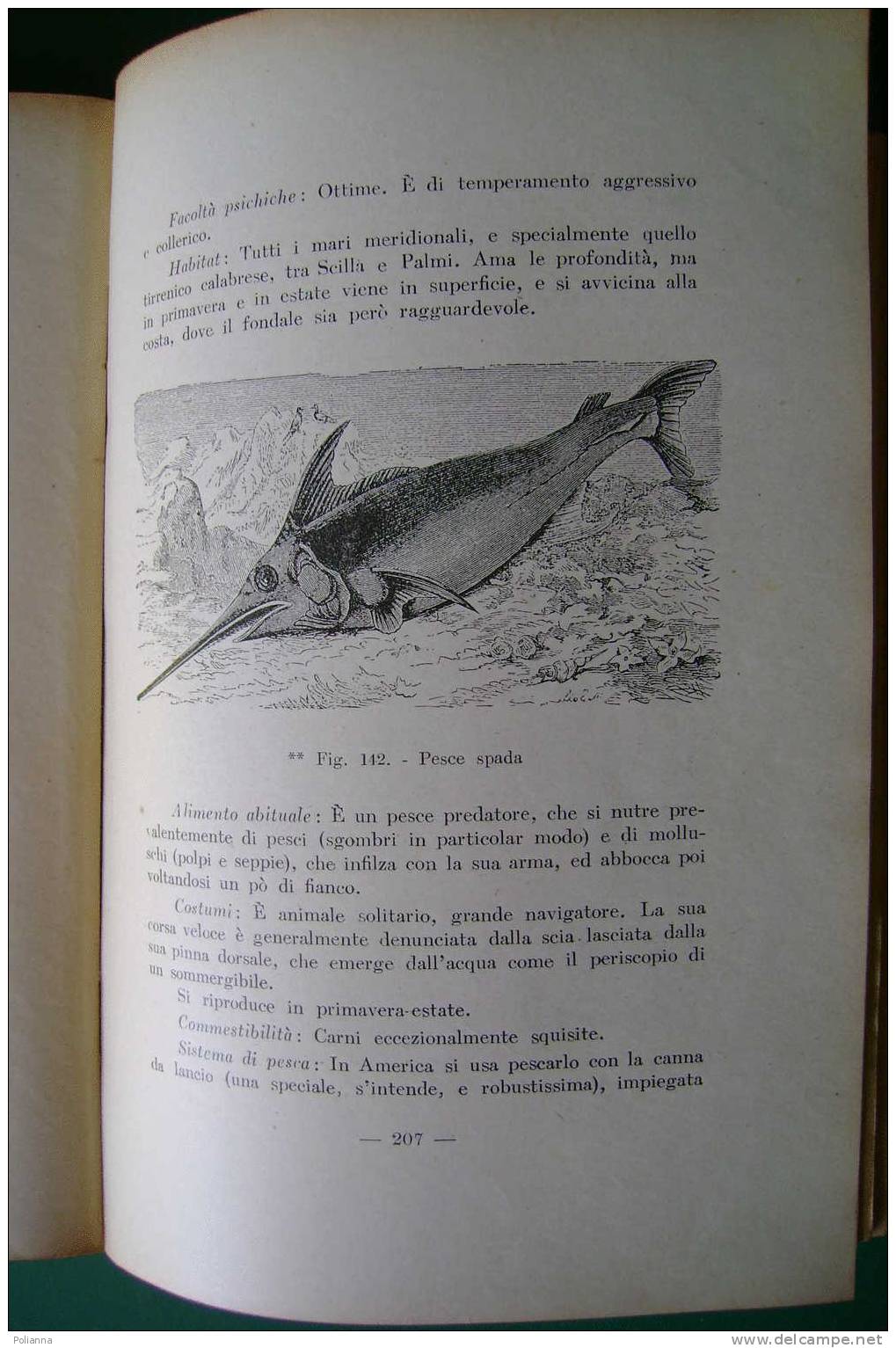 PDO/17 Aldo Peronaci LO SPORT DELLA PESCA Editoriale Olimpia 1951/attrezzature, Tecniche, Esche, Specie Di Pesci - Caccia E Pesca