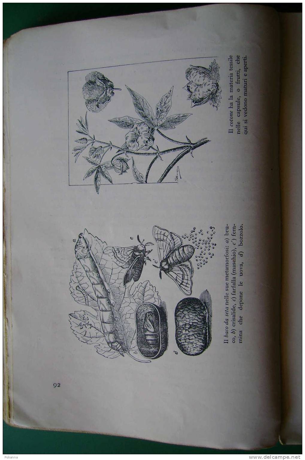 PDO/18 F.Castellino L'ARTE DELLA MASSAIA SEI 1941/elettrodomestici/campi Cotone In Somalia/ricami/giocattoli/gastronomia - House & Kitchen