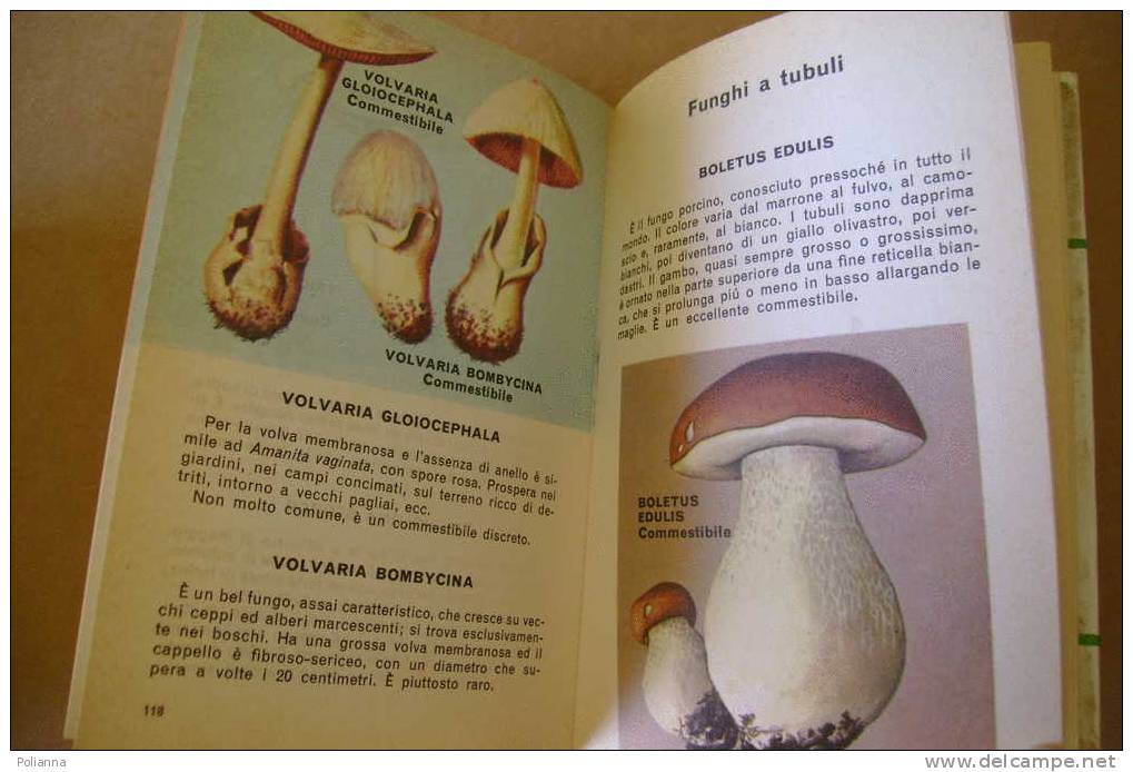 PDO/39 Montarnal FUNGHI Mondadori 1970/Micologia - House & Kitchen