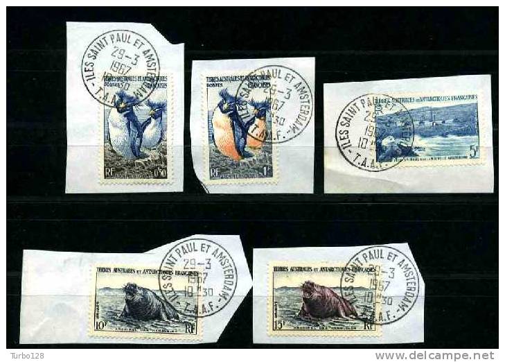 TAAF N° 2 /7 Sauf N°5 Oblitérés Used Superbes C 25 &euro; Faune Oiseaux Birds Manchots Eléphant De Mer Saint-Paul - Used Stamps