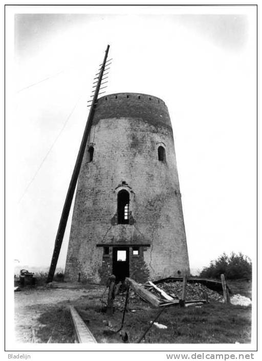 SINT-DENIJS Bij Zwevegem (West-Vlaanderen) - Molen Ter Claere, Uitgebrand In 1950, Tijdens De Restauratie Van 1951. TOP! - Lieux