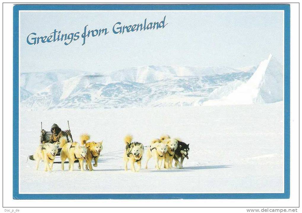 Grönland - Greenland - Dogs - Hunde - Husky - Dogsledge - Grönland