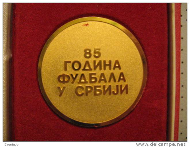 Football Federation Of Serbia Plaque - Habillement, Souvenirs & Autres