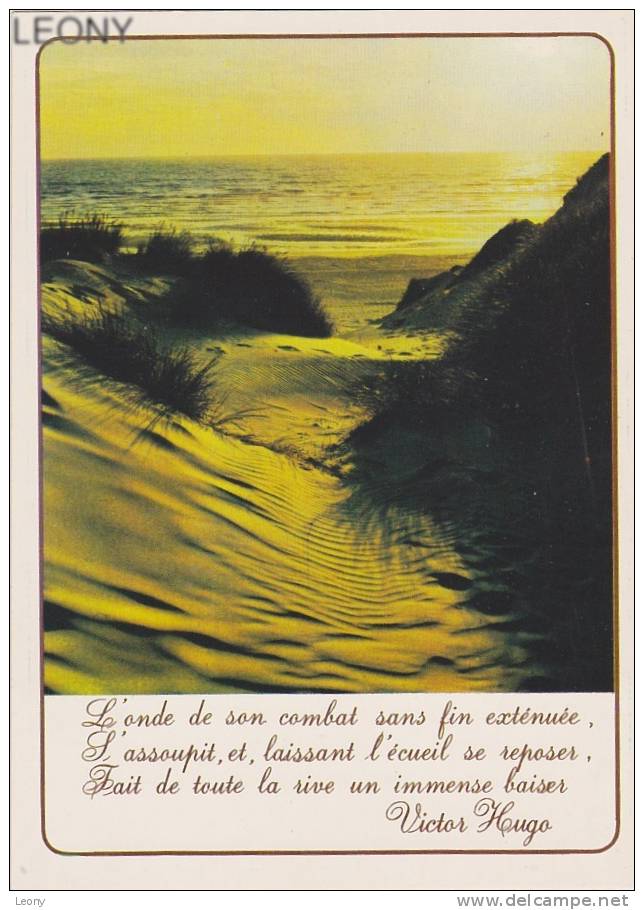 CPM Du LITTORAL De La MANCHE Et De La MER Du NORD " Contre-Jour Dans Les Dunes " - Halt Gegen Das Licht/Durchscheink.