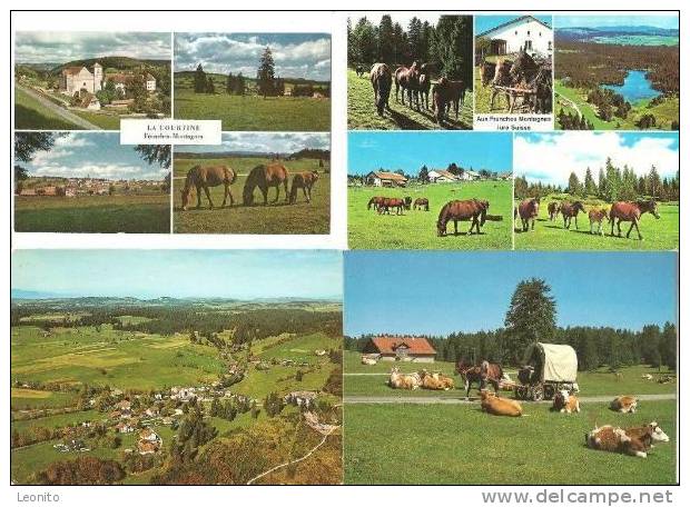 Franches Montagnes 8 Ansichtskarten Ab 1971 - Sonstige & Ohne Zuordnung