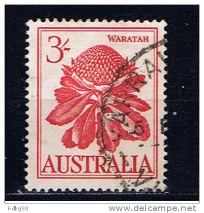 AUS+ Australien 1959 Mi 302 Waratah - Oblitérés