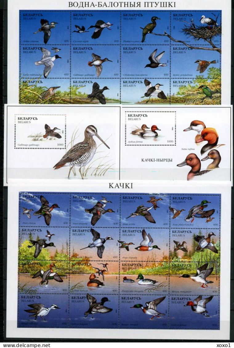 Belarus 1996 MiNr. 163 - 192 (Block 12-13) Weißrußland Birds 2 M/sh + 2 S/sh MNH** 36,00 € - Anatre