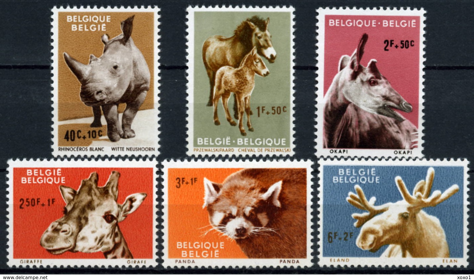 Belgique 1961 MiNr. 1242 - 1247  Belgien Animals Zoo 6v MNH** 10,00 € - Rhinocéros