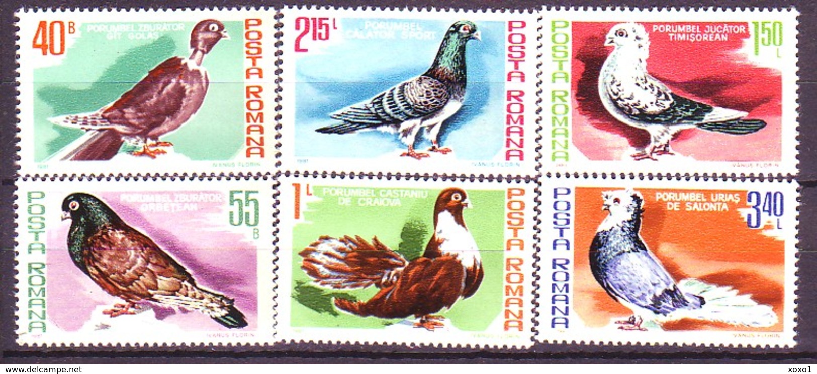 Romania 1981 Birds Vogel Breeds Of Pigeons 6v MNH** 2,50 € - Tauben & Flughühner
